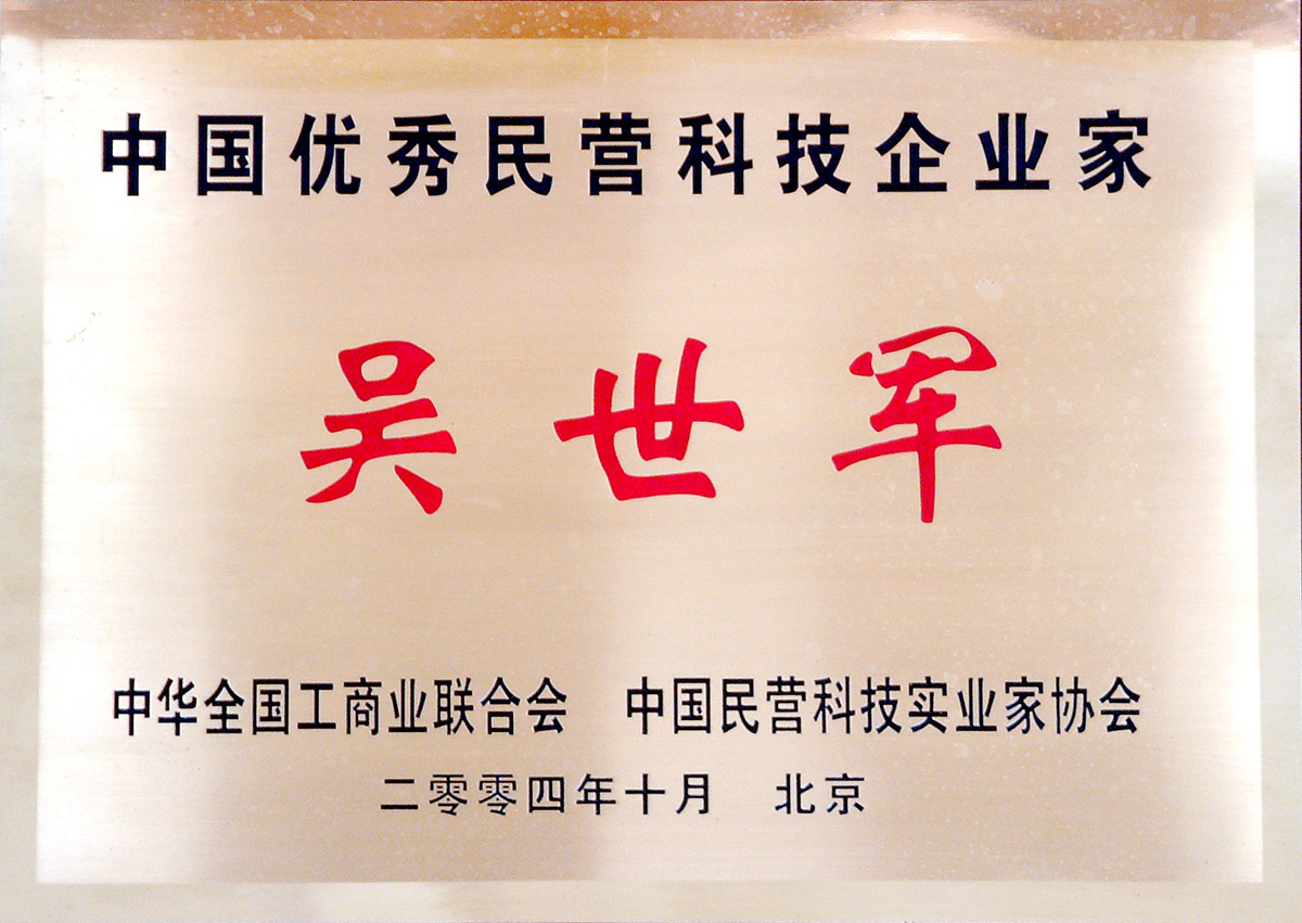 中國優(yōu)秀民營科技企業(yè)家